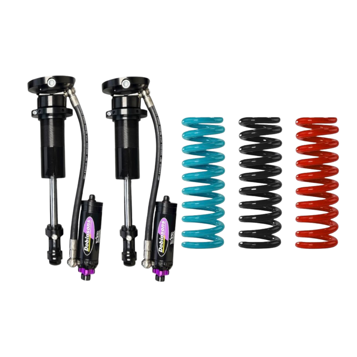 Dobinsons MRR 3 Way Adjustable Monotube External Reservoir Struts - Titan Swap